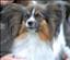 Kellybelly